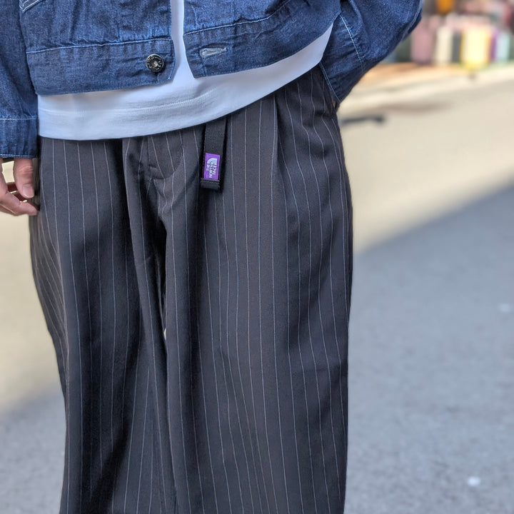 THE NORTH FACE PURPLE LABEL - Striped Field Pants - N25SC029