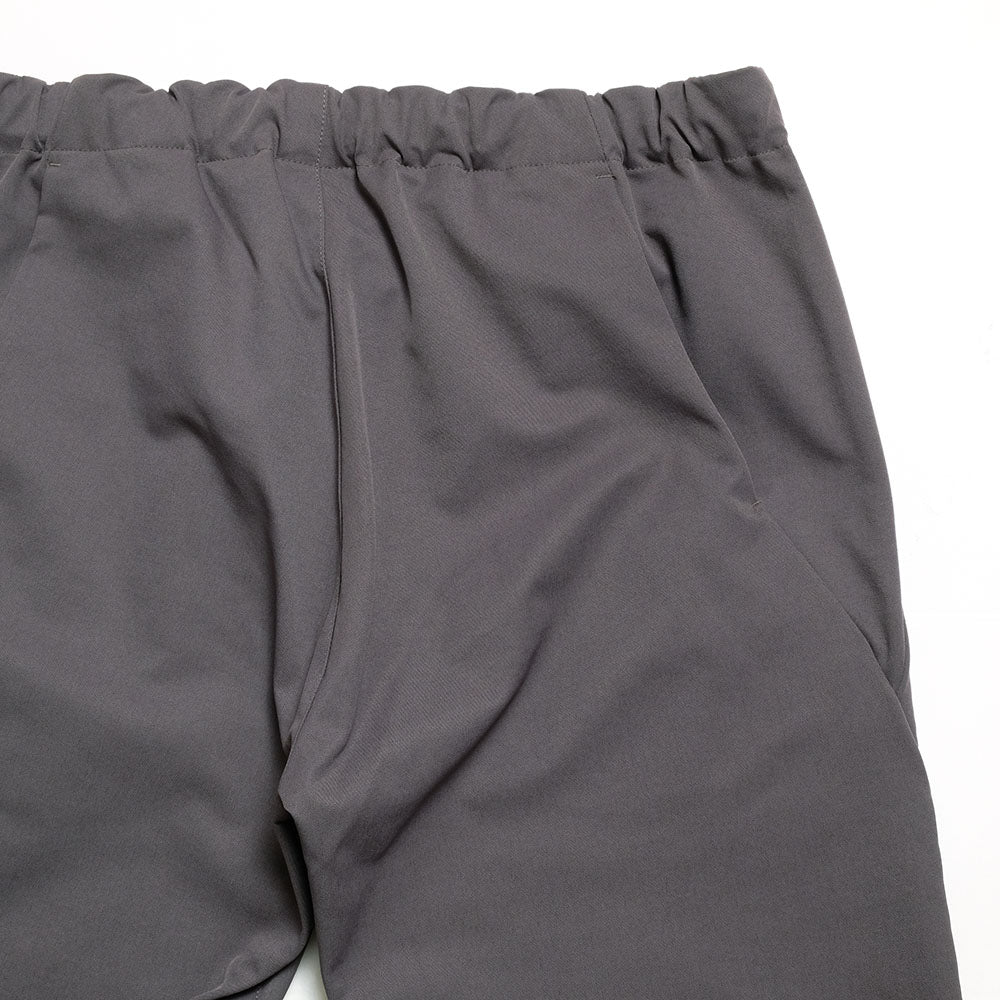 Goldwin - Slim Tapered Stretch Pants - GL75178